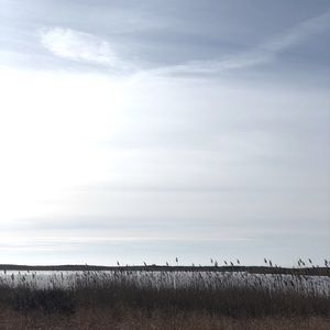 Meet your Posher, Mcolgan